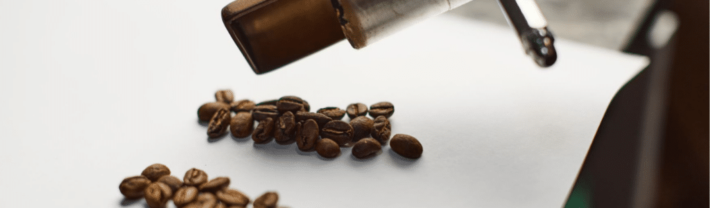 Holybean